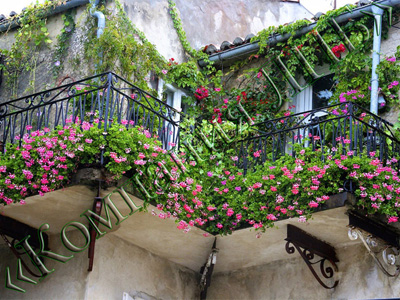 Озеленение балкона и лоджии