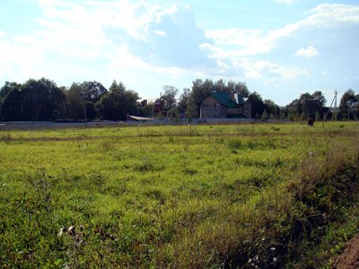 Первичный выезд ландшафтного дизайнера на участок