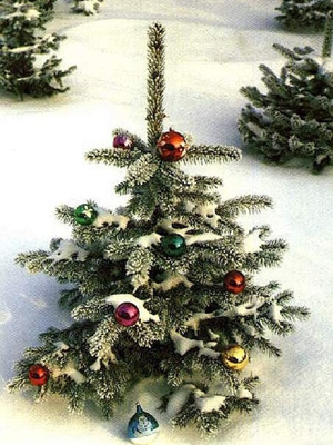 Новогодняя и Рождественская елка на участке