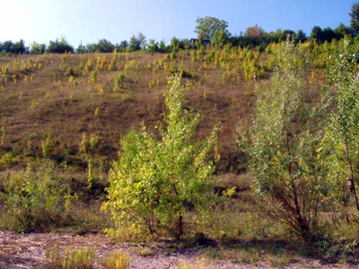 Уменьшение пахотных земель